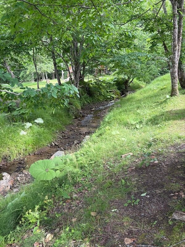 穂別キャンプ場コテージ裏の小川
